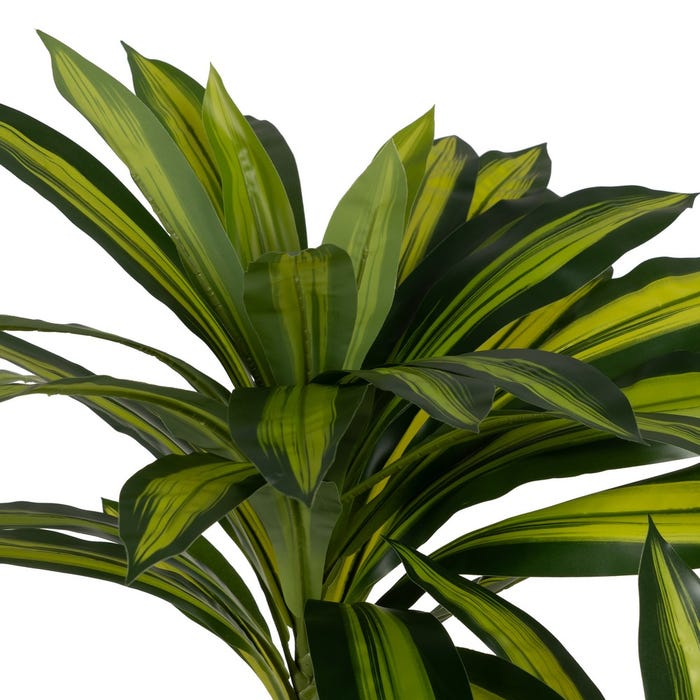 Dracaena Green Rubber Plant Decoration 200 Cm