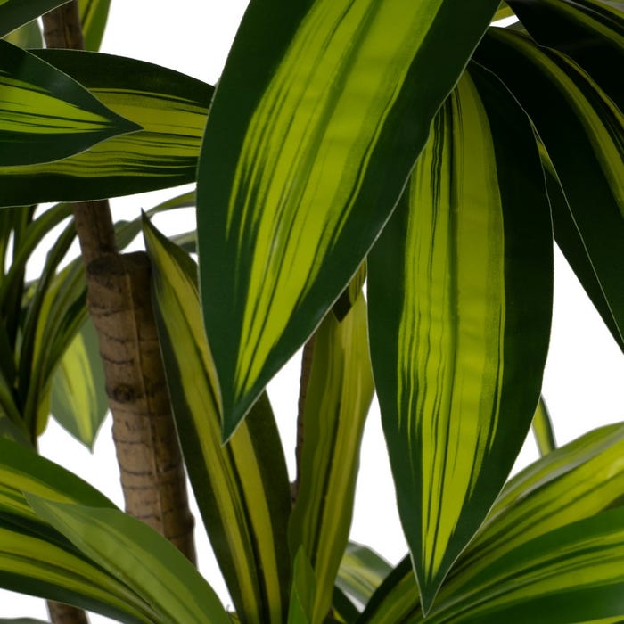 Decoração de planta de borracha verde Dracaena 200 cm