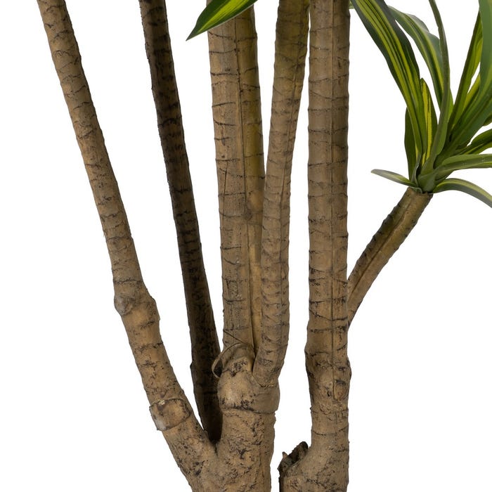 Decoração de planta de borracha verde Dracaena 200 cm