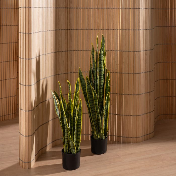 Dracaena Plant Green-Yellow Rubber 20 X 20 X 115 Cm