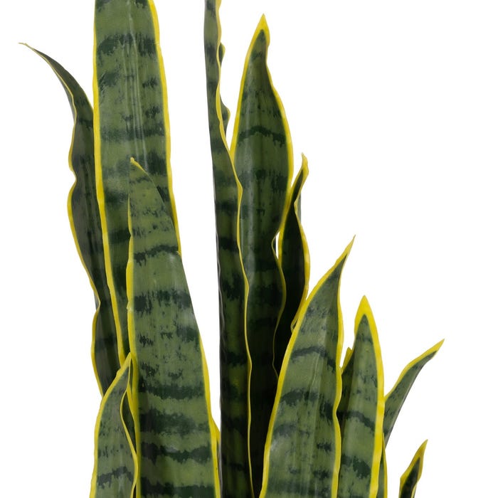 Dracaena Plant Green-Yellow Rubber 20 X 20 X 115 Cm