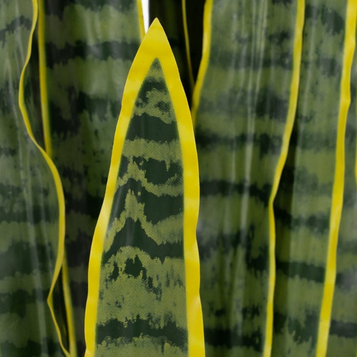 Dracaena Plant Green-Yellow Rubber 20 X 20 X 115 Cm