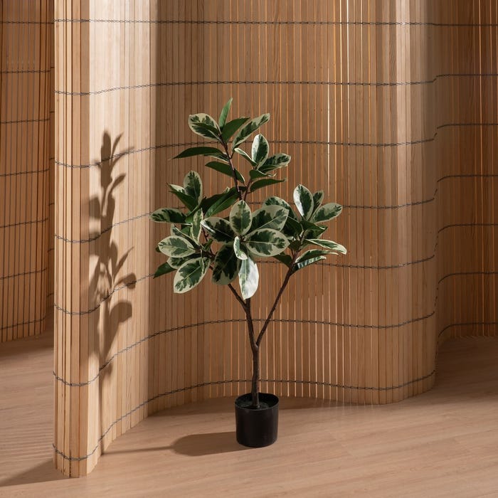 Planta Magnolia Verde-Blanco Goma 120 Cm