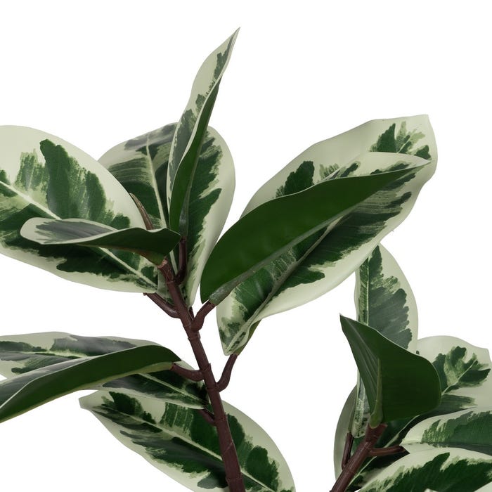 Green-White Magnolia Plant Rubber 120 Cm