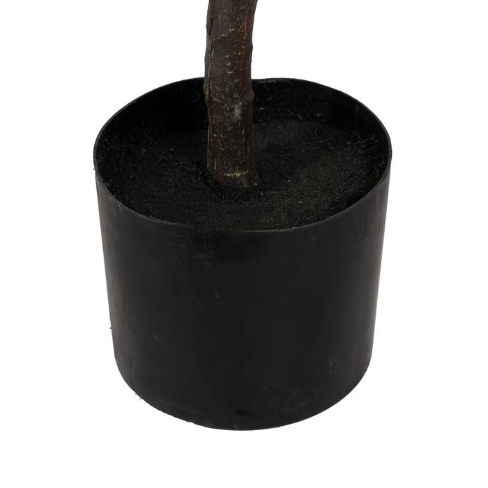 Planta Magnolia Verde-Blanco Goma 120 Cm