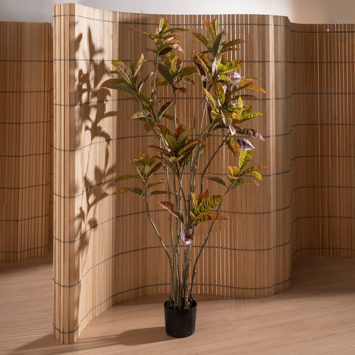 Decoração de planta de borracha Croton vermelho 150 cm