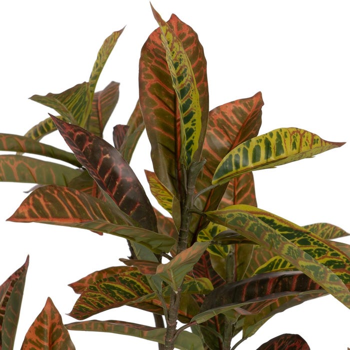 Red Croton Rubber Plant Decoration 150 Cm