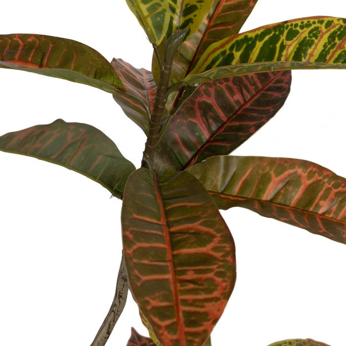 Decoração de planta de borracha Croton vermelho 150 cm