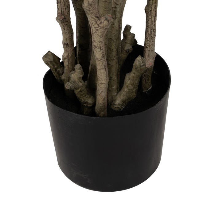 Planta Croton Rojo Goma Decoración 150 Cm