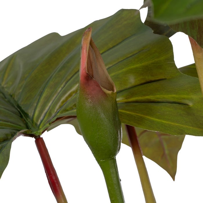 Planta Lugarsia Verde Polietileno 185 Cm