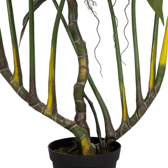 Planta Lugarsia Verde Polietileno 185 Cm