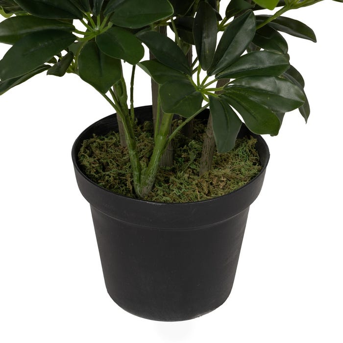 Planta Schefflera Verde Polietileno 145 Cm
