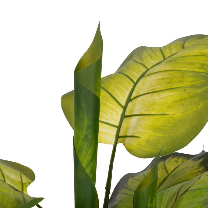 Diefembaquia Plant Green Polietileno 135 cm