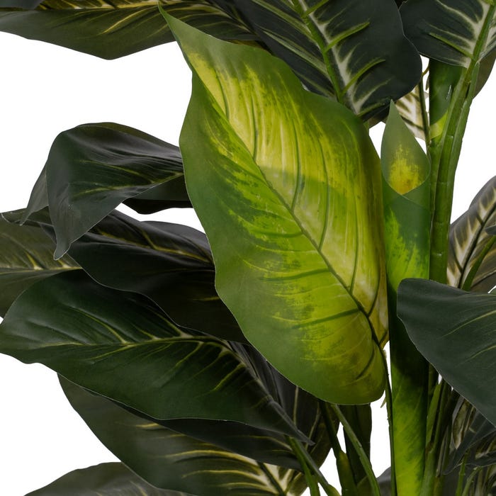 Diefembaquia Plant Green Polietileno 135 cm