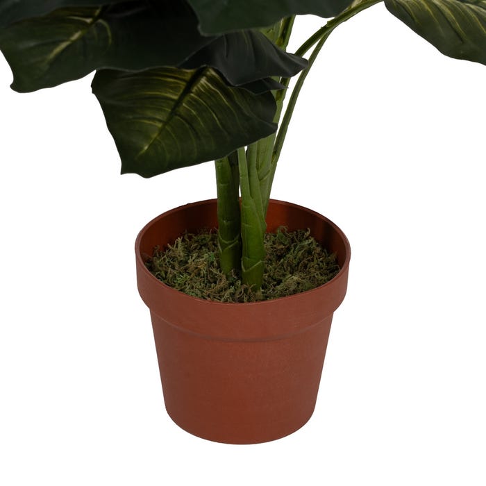 Diefembaquia Plant Green Polietileno 135 cm
