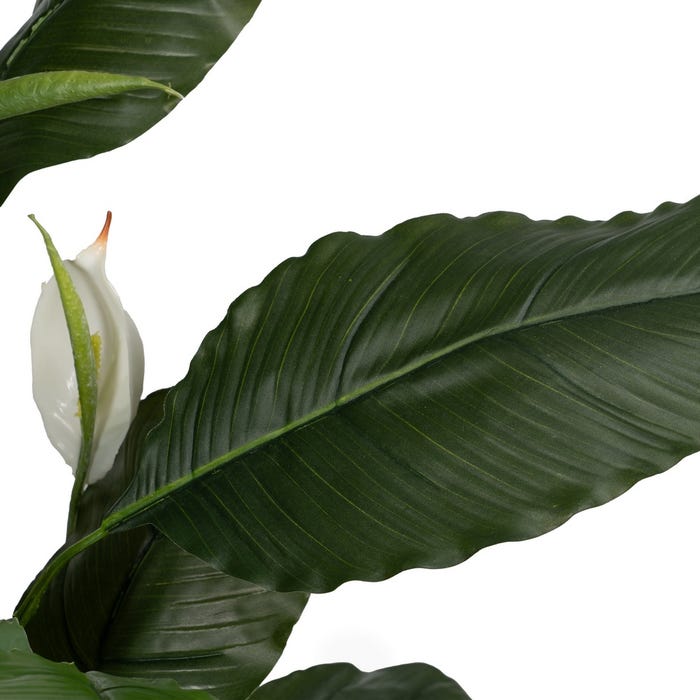 Planta de Jardim em Polietileno Verde-Branco 130 cm