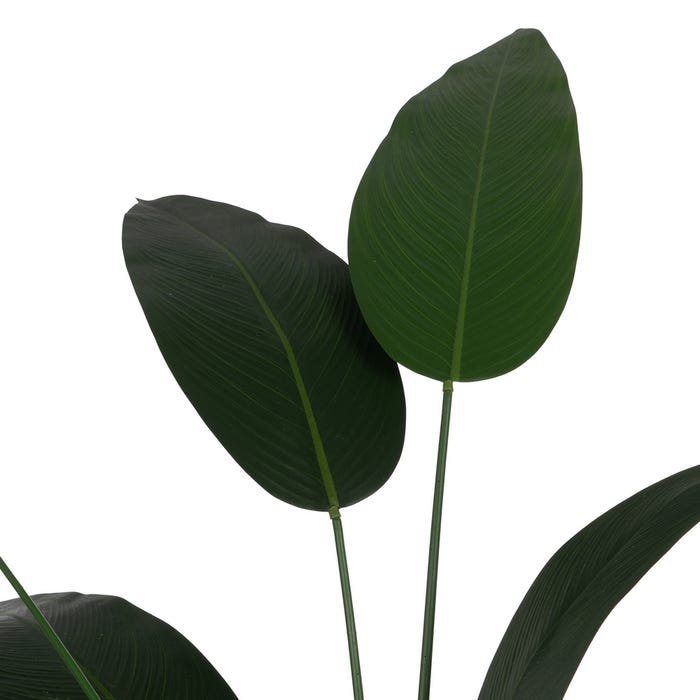 Planta Strelitzia Verde Pvc-Tejido 220 Cm