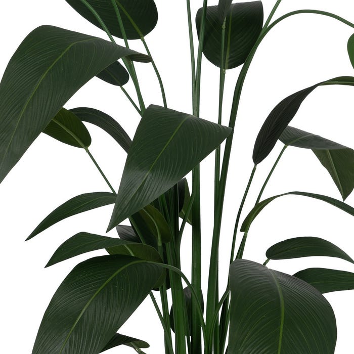 Planta Strelitzia Verde Pvc-Tejido 220 Cm