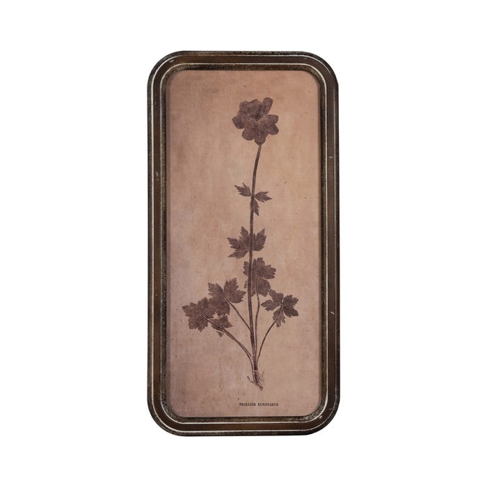 Moldura com estampa floral 4/M Dm-Vidro 30 x 2 x 60 cm