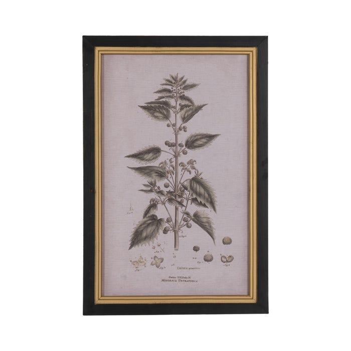 Moldura com estampa floral 4/M 30 x 1,80 x 45 cm