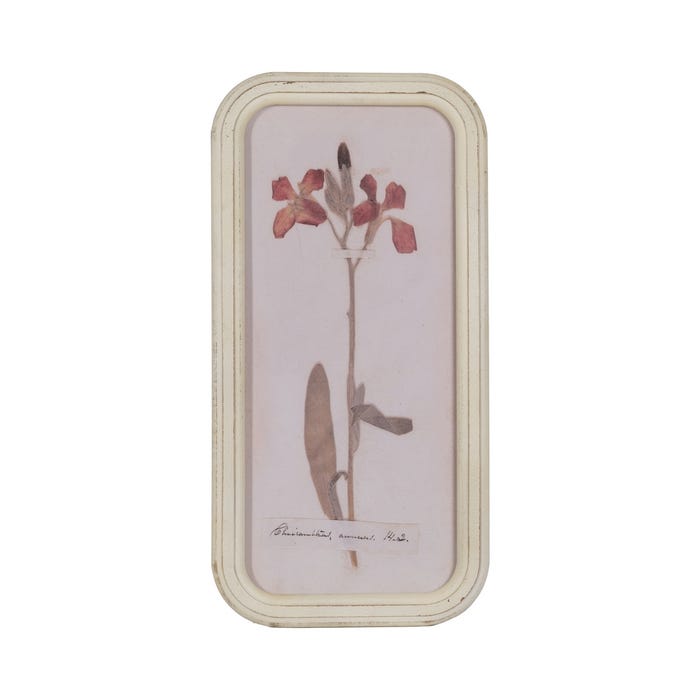 Moldura com estampa floral 4/M Dm-Vidro 25 x 2 x 50 cm