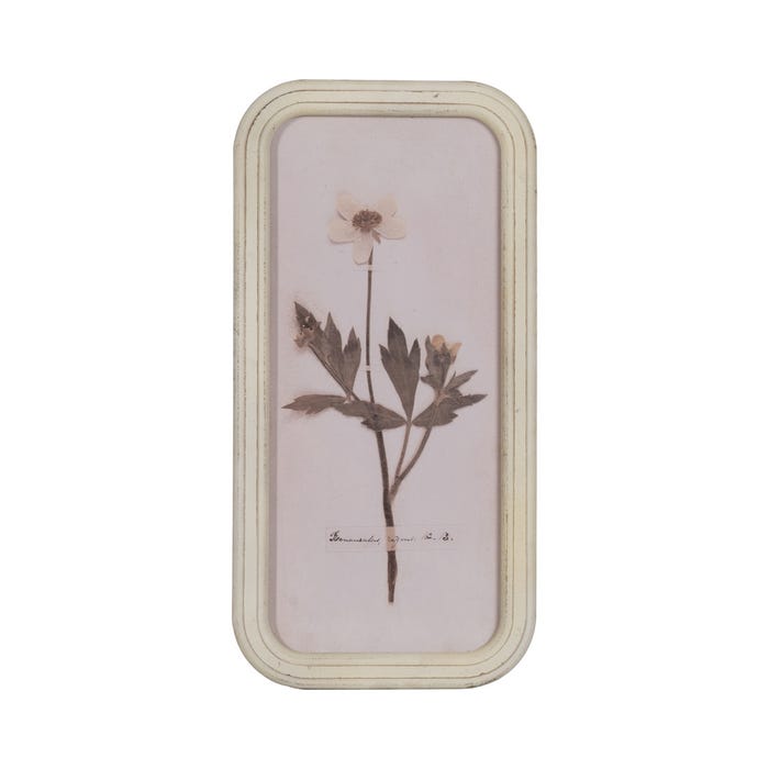 Moldura com estampa floral 4/M Dm-Vidro 25 x 2 x 50 cm