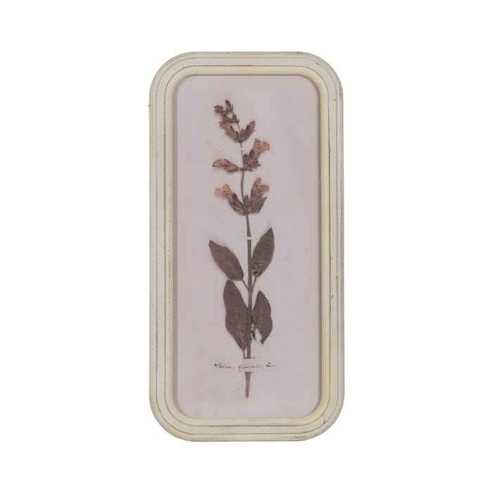 Moldura com estampa floral 4/M Dm-Vidro 25 x 2 x 50 cm