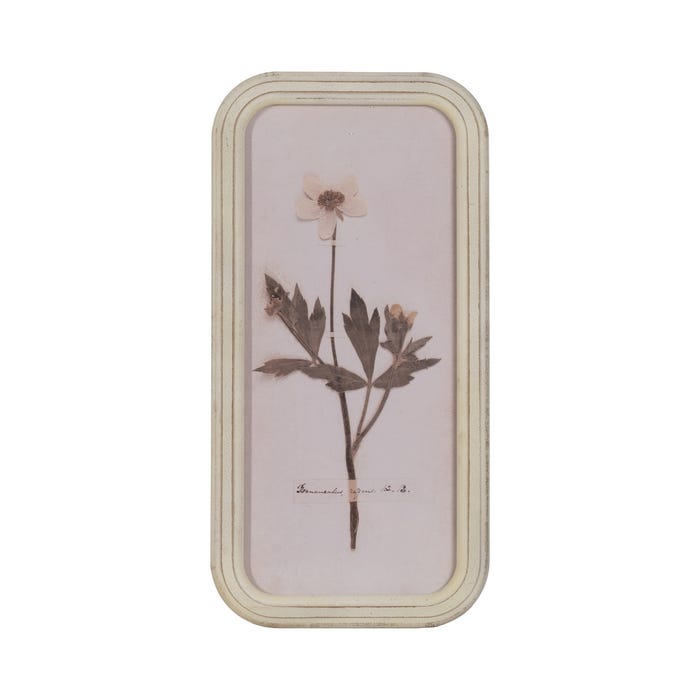 Moldura com estampa floral 4/M Dm-Vidro 25 x 2 x 50 cm