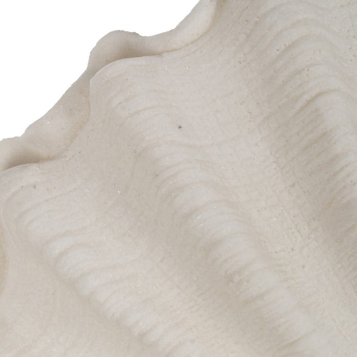 Sandstone Shell Table Lamp 35.50 X 18 X 28.20 Cm