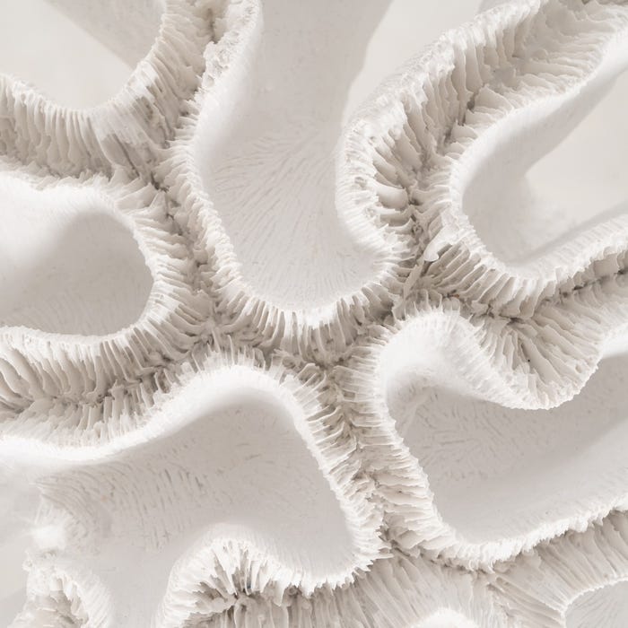 White Coral Resin Figure Decoration 28 X 28 X 10 Cm