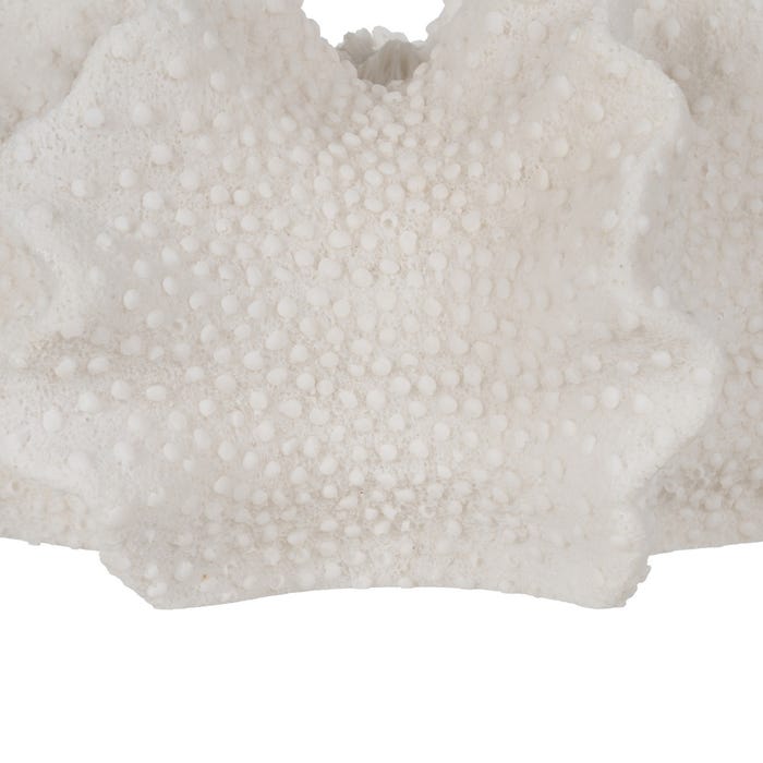 Coral Sandstone Table Lamp 31.80 X 28 X 16.50 Cm