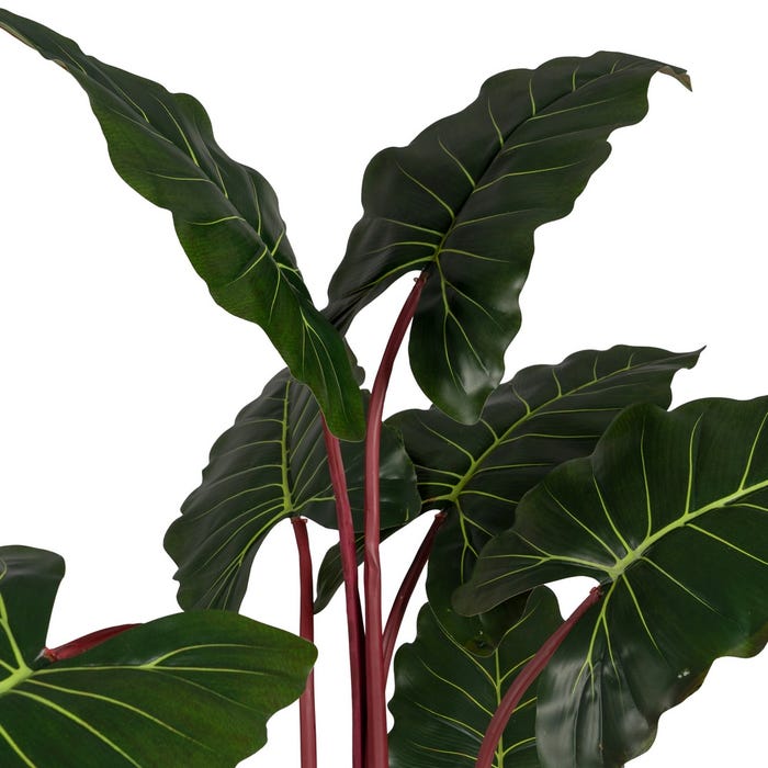 Planta Colocasia Verde Artificial Jardín 80 X 80 X 160 Cm