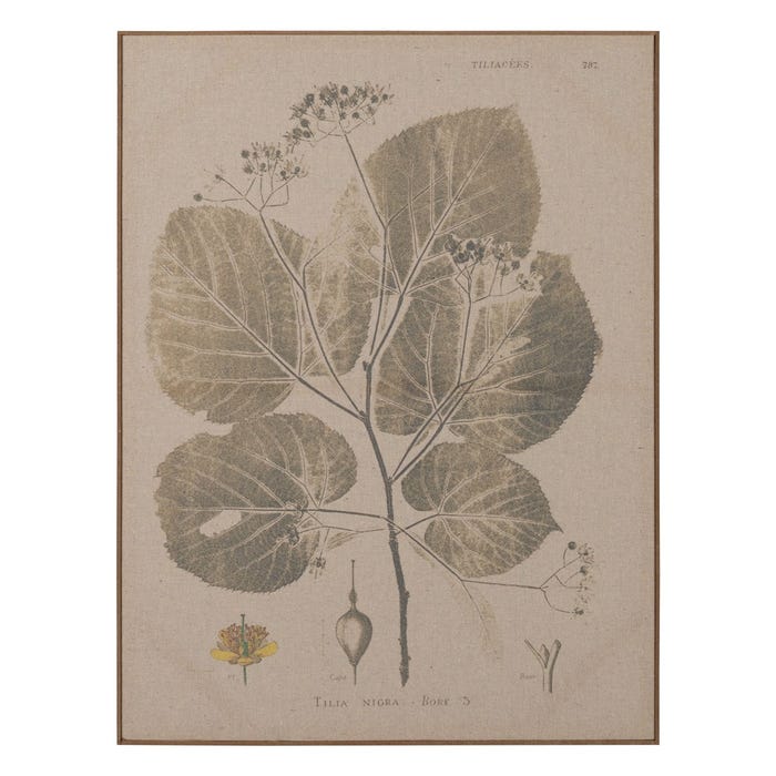 Moldura para Impressão Folhas 2/M Dm-Madeira 60 X 3 X 80 Cm
