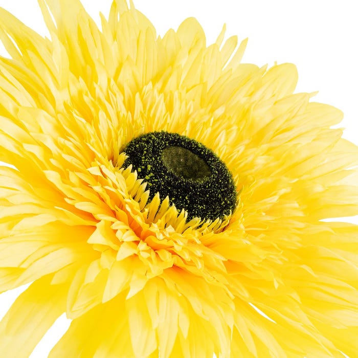 Flor Gerbera Amarillo Artificial 60 X 60 X 150 Cm