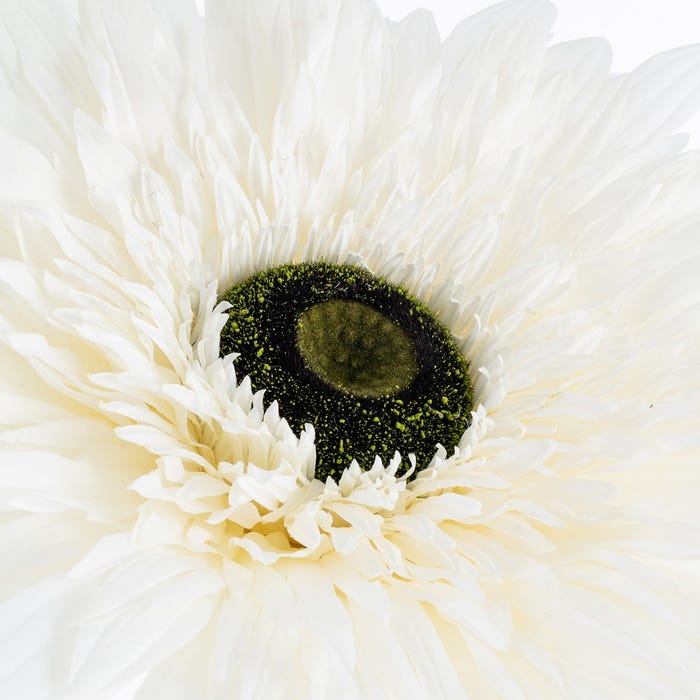 Flor Gerbera Blanco Artificial 60 X 60 X 150 Cm