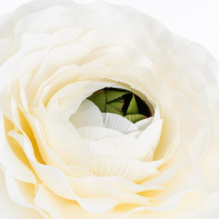 Flor Anémona Blanco Artificial 50 X 50 X 135 Cm