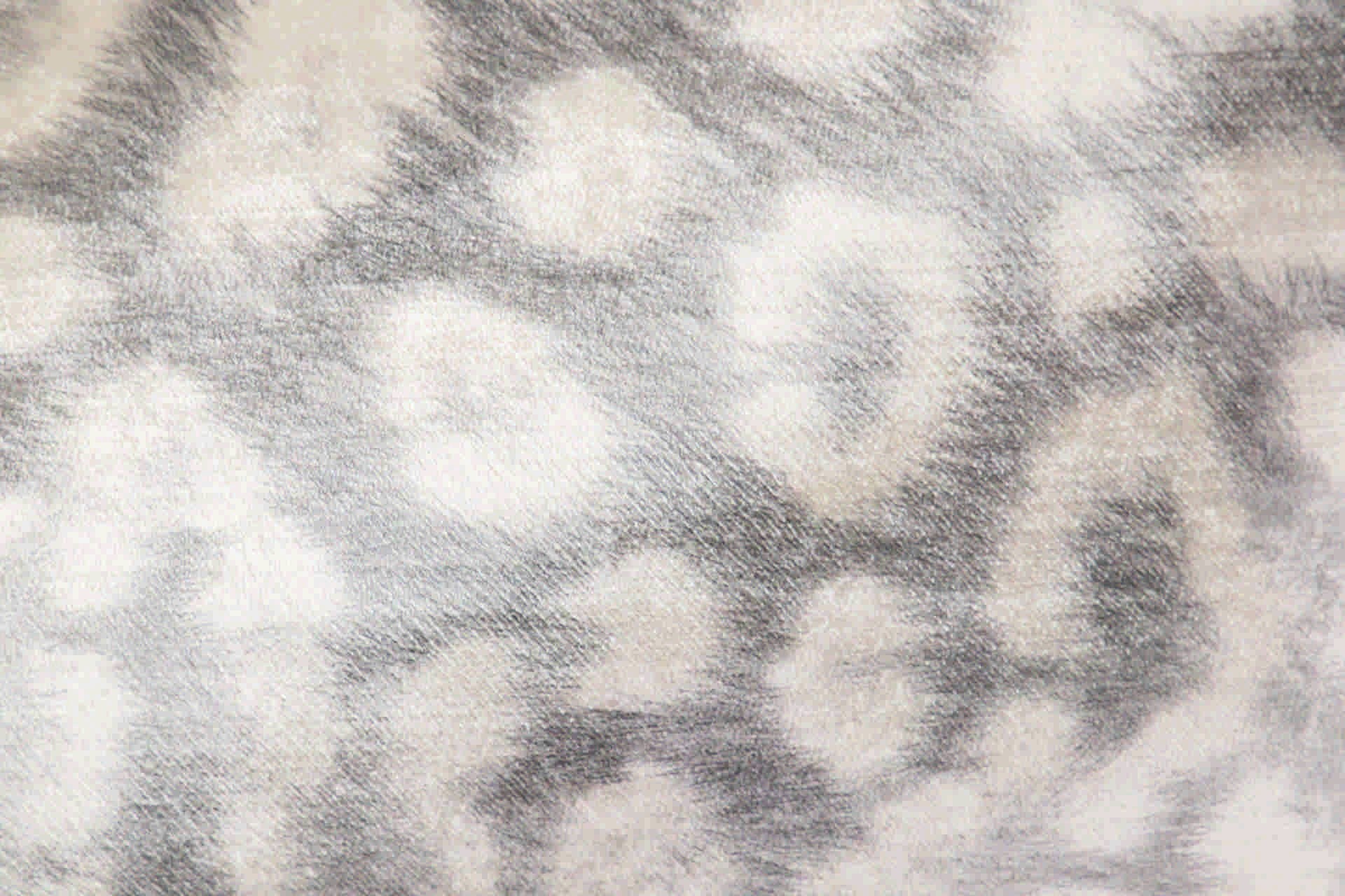 COJIN VELVET LEOPARDO 45x13x30 CM - Min.2 uds