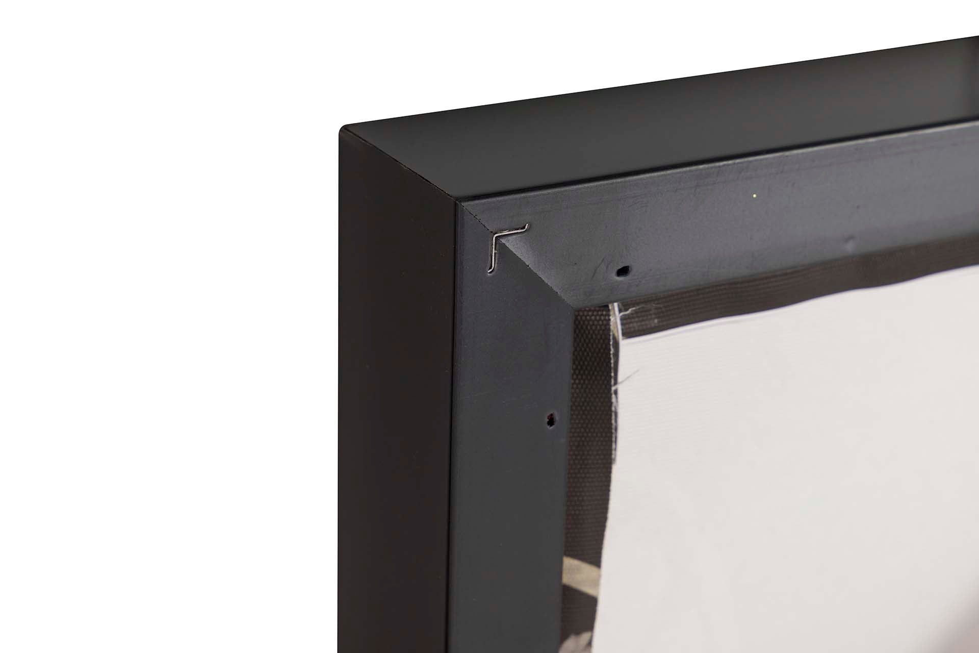 FOAM LEAVES FRAME WITH BLACK FRAME 83x4x123 CM