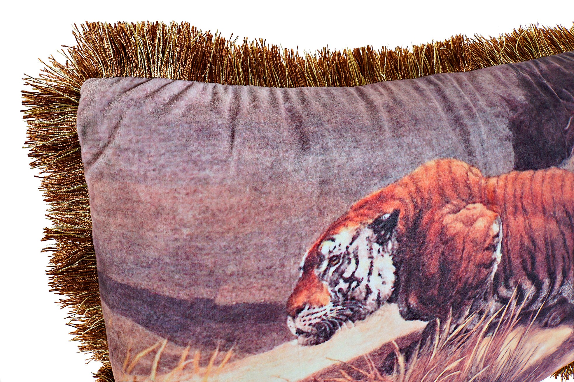 Almofada de Poliéster 60X40 678Gr Wild 2 Sortidas