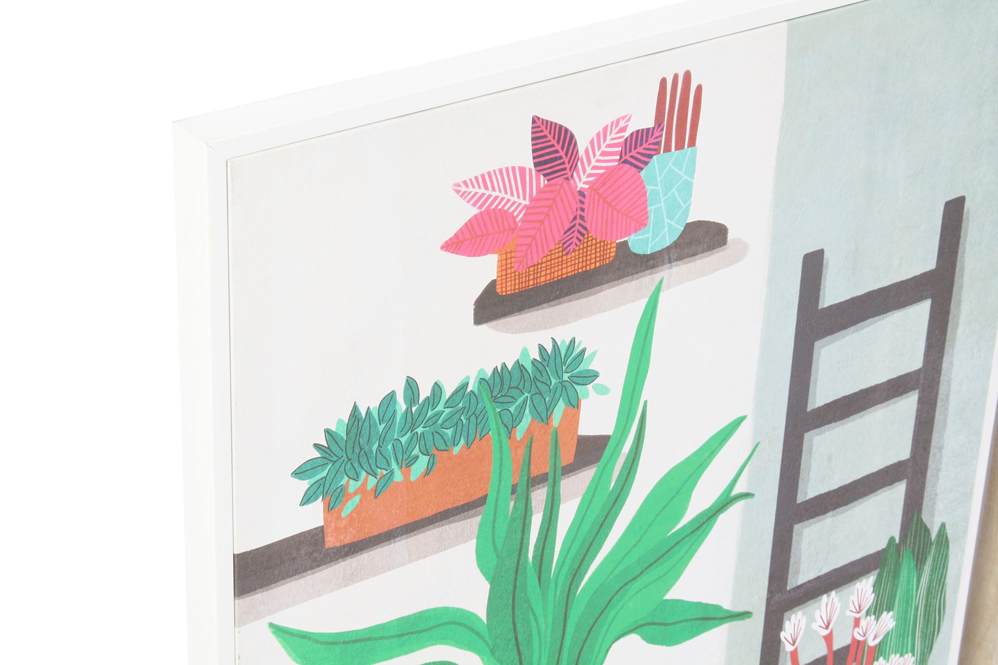 Ps Canvas Picture 52X2.7X72 Plantas 2 Sortidos.