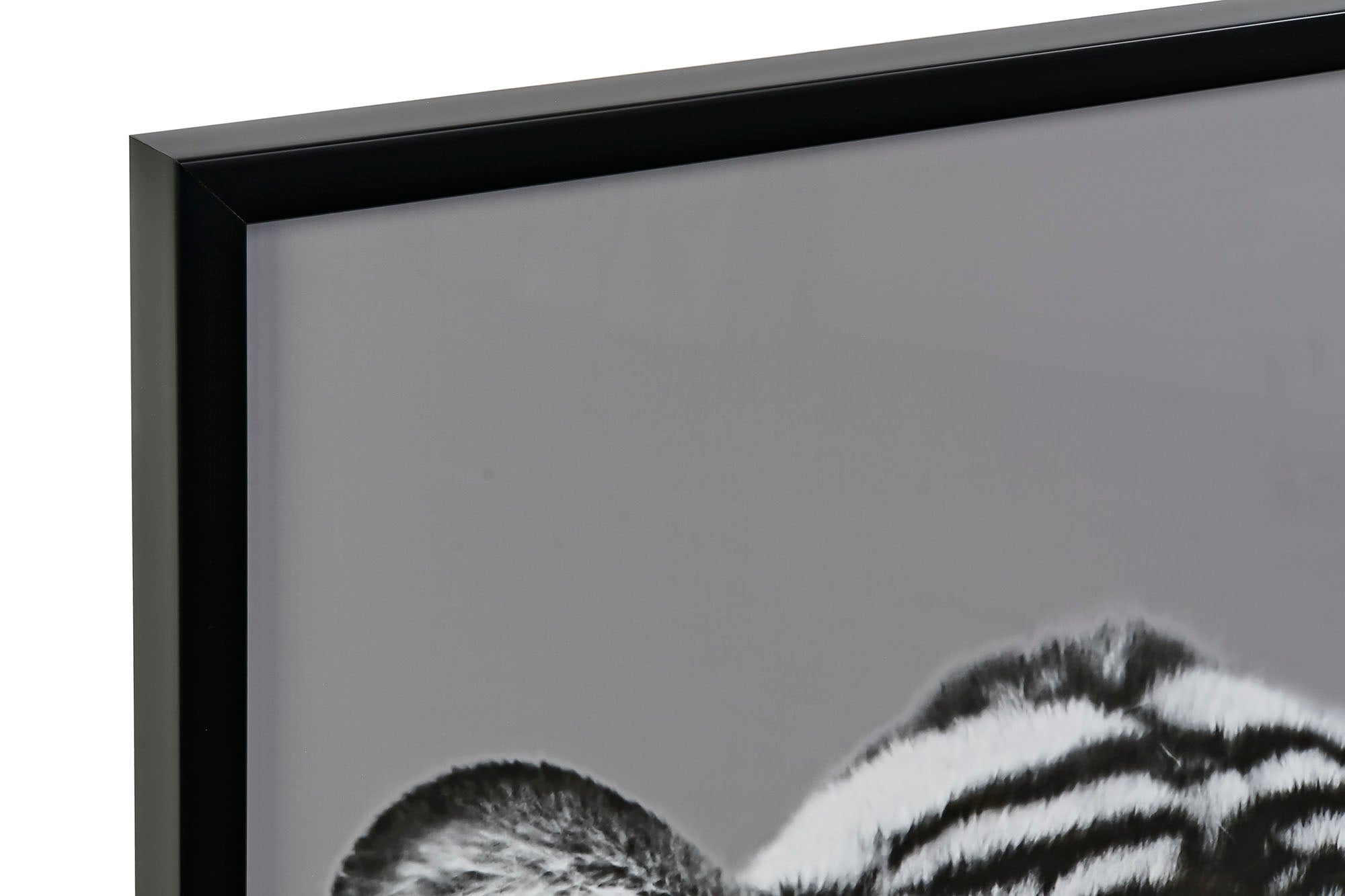 Crystal Picture Ps 67X3X93 Wild 3 Assorted.