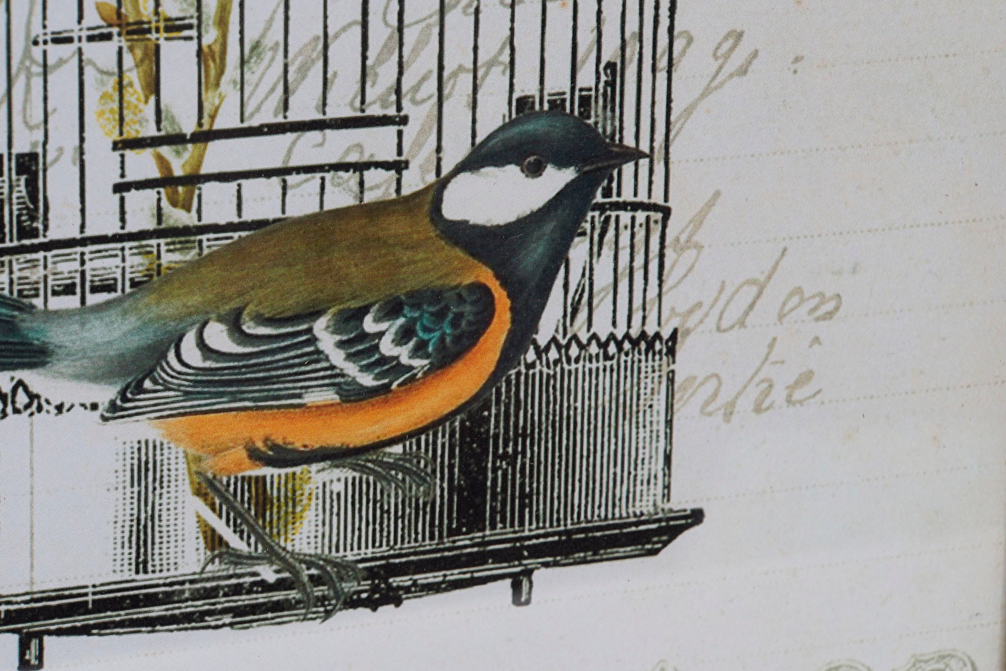 Wooden Canvas Frame 34X2X44 Cage 4 Assorted.