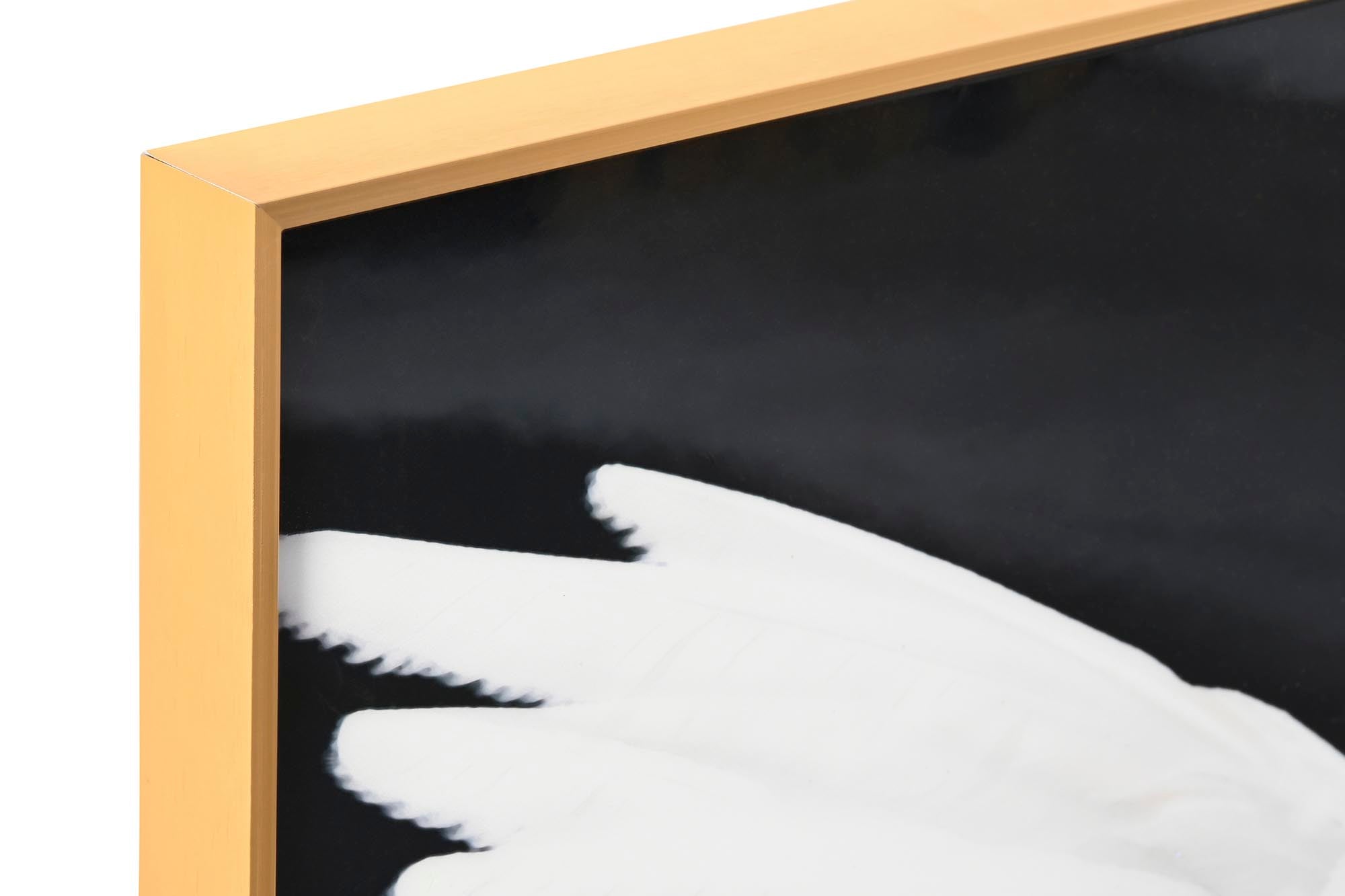 Moldura de alumínio MDF 60X3X80 penas femininas 2 sortimentos.