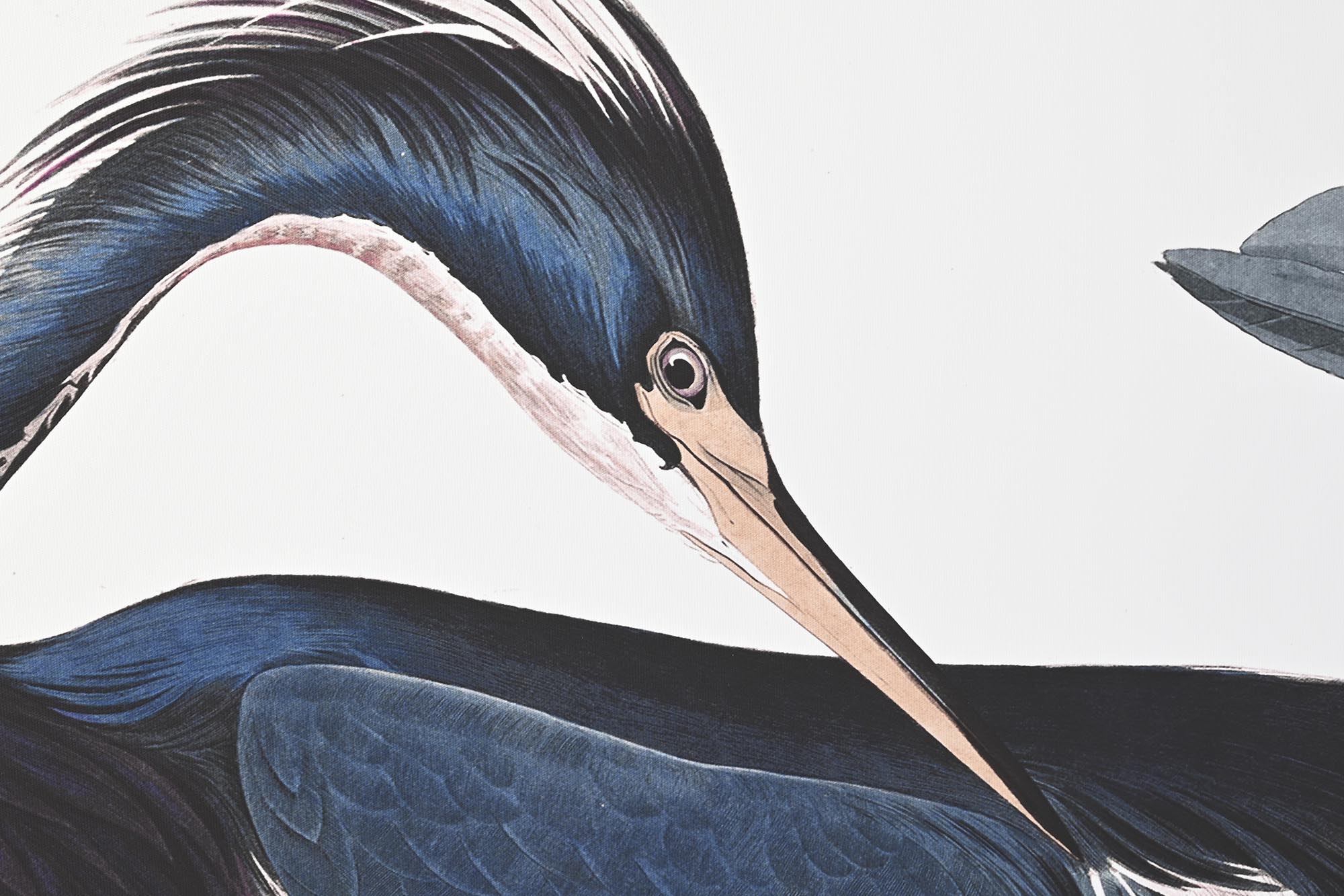 Ps Canvas Painting 123X4.5X83 Heron 2 Surt.