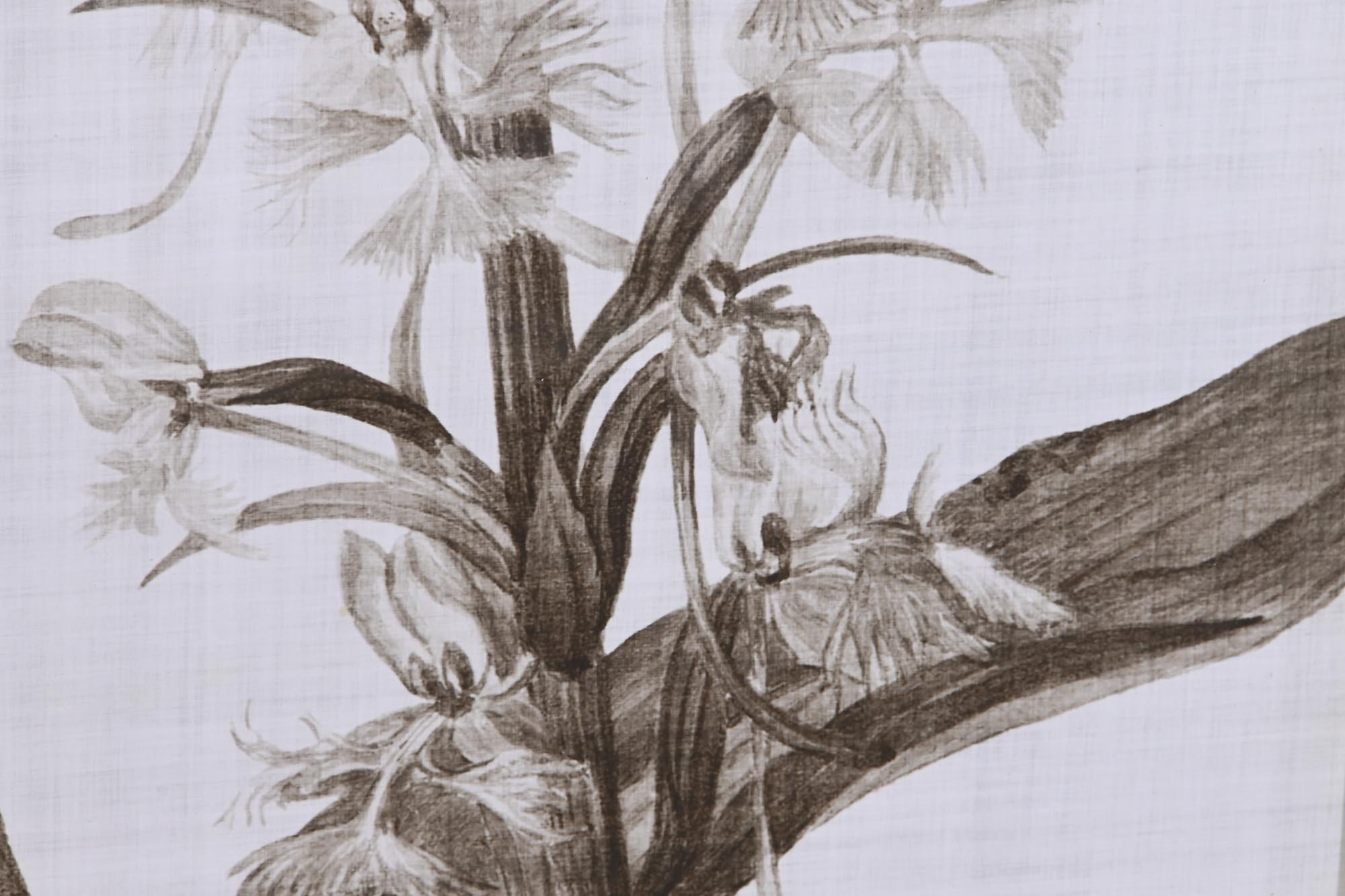 Quadro de vidro de bétula 55X2,5X70 flores 4 sortidas.