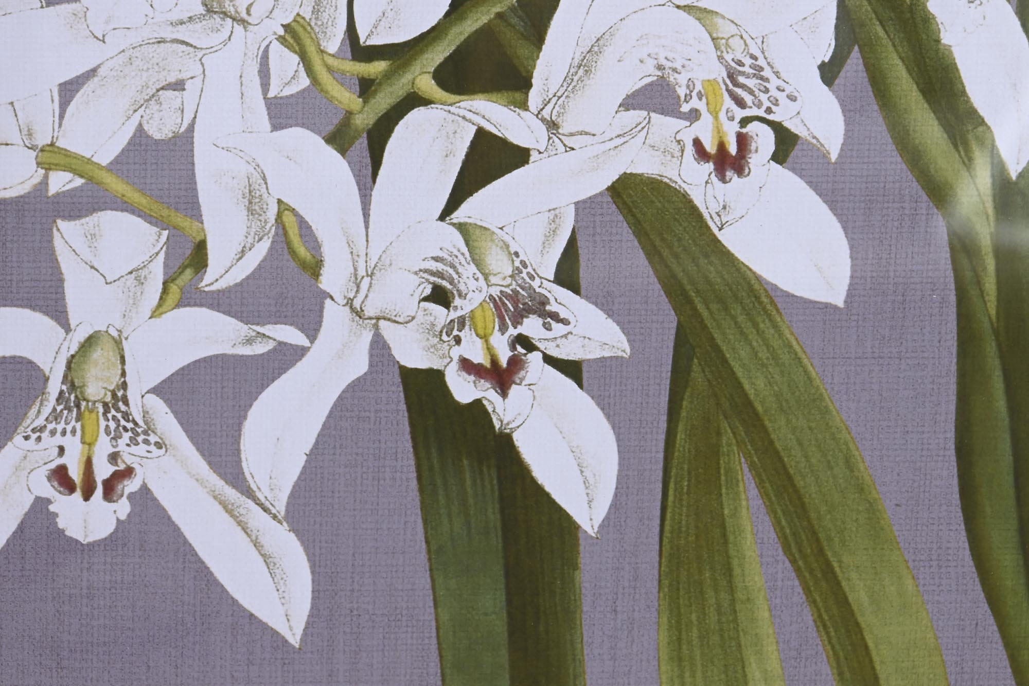 Quadro de vidro Abeto 50X2,8X60 Flores 6 sortidas.