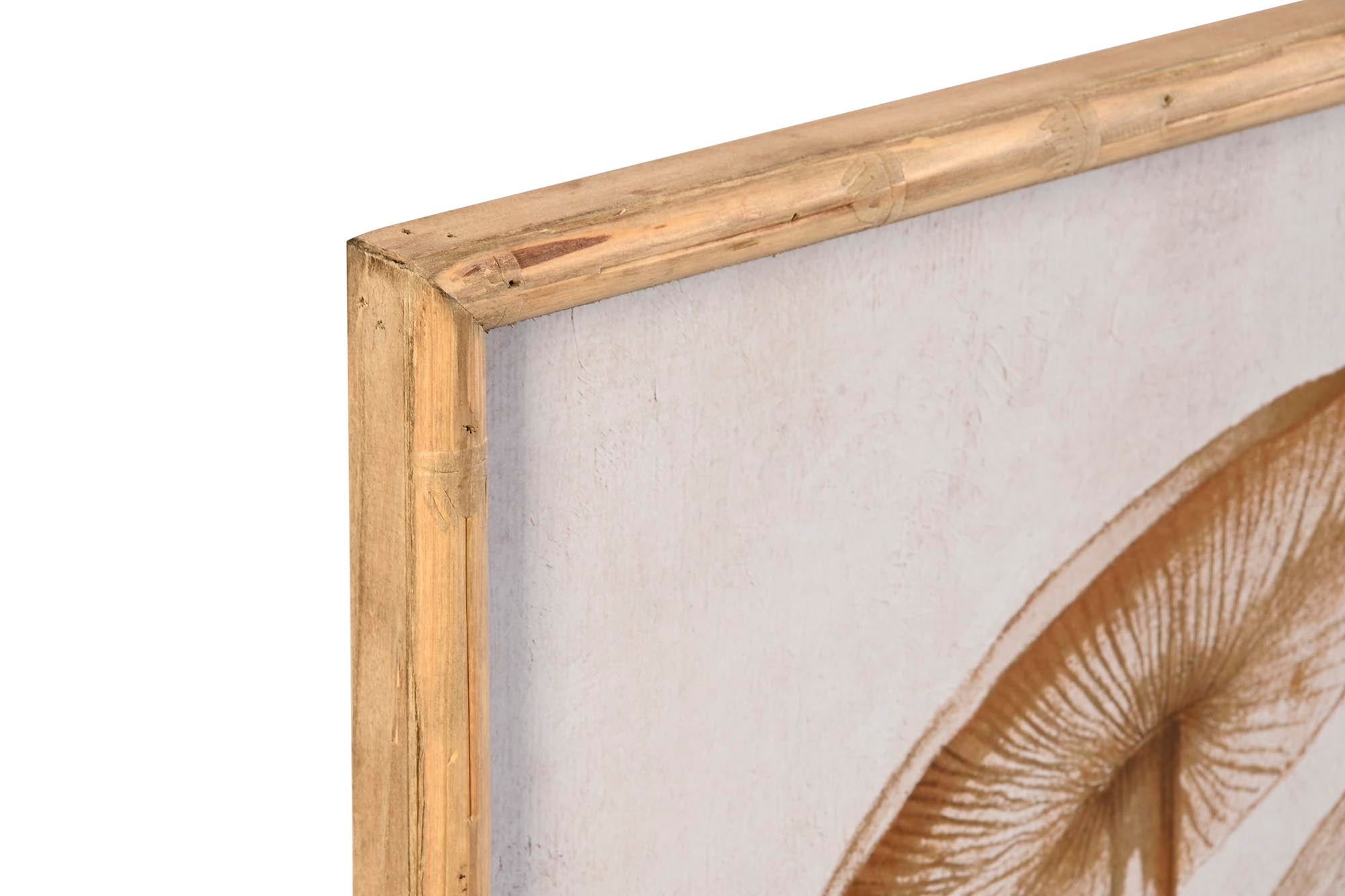 Moldura de vidro de bambu 50X2,8X70 Cogumelos 2 sortidos.