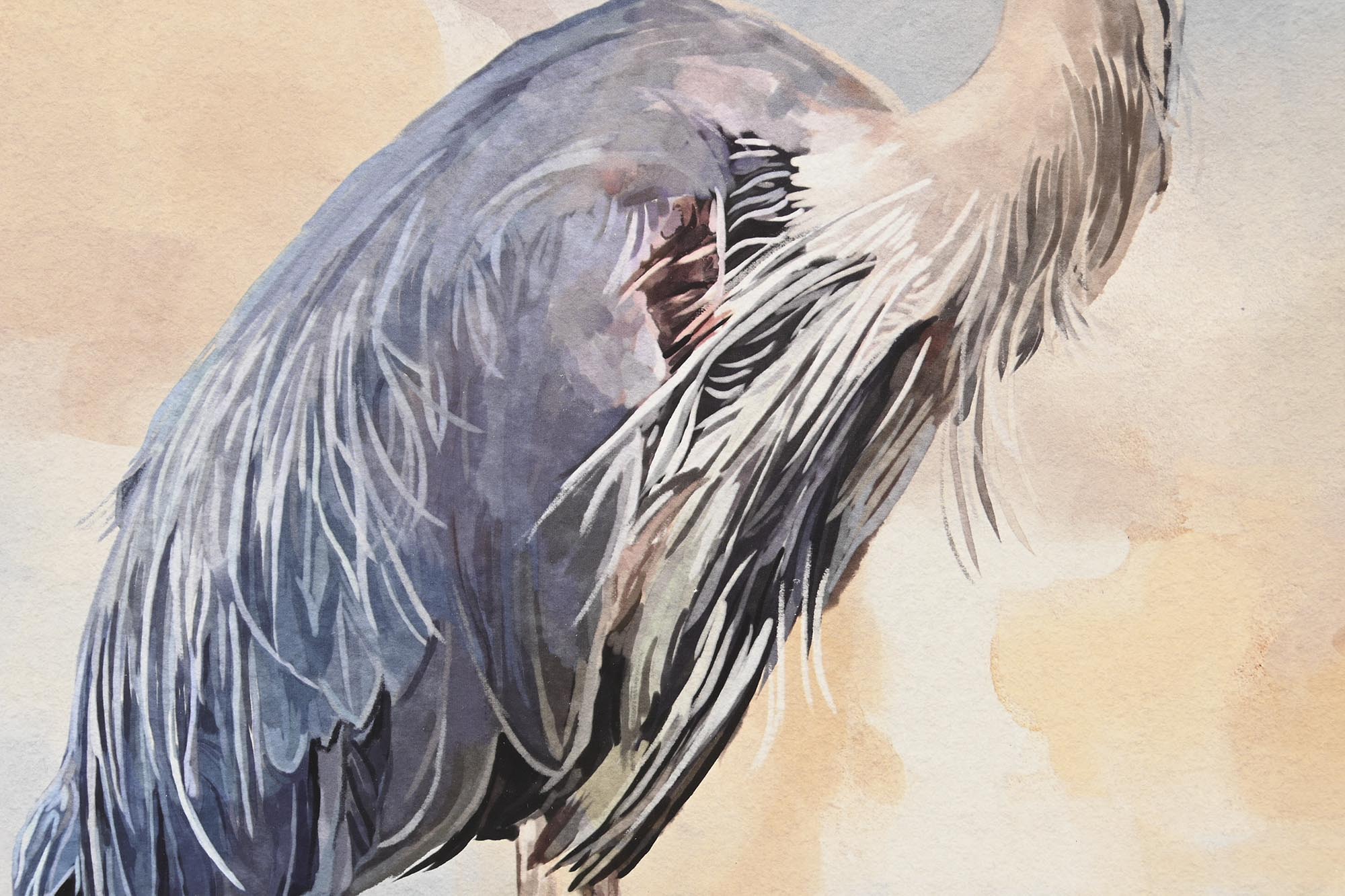 Pintura em tela Ps 56X1,6X66 Ave Emoldurada 3 sortidas.