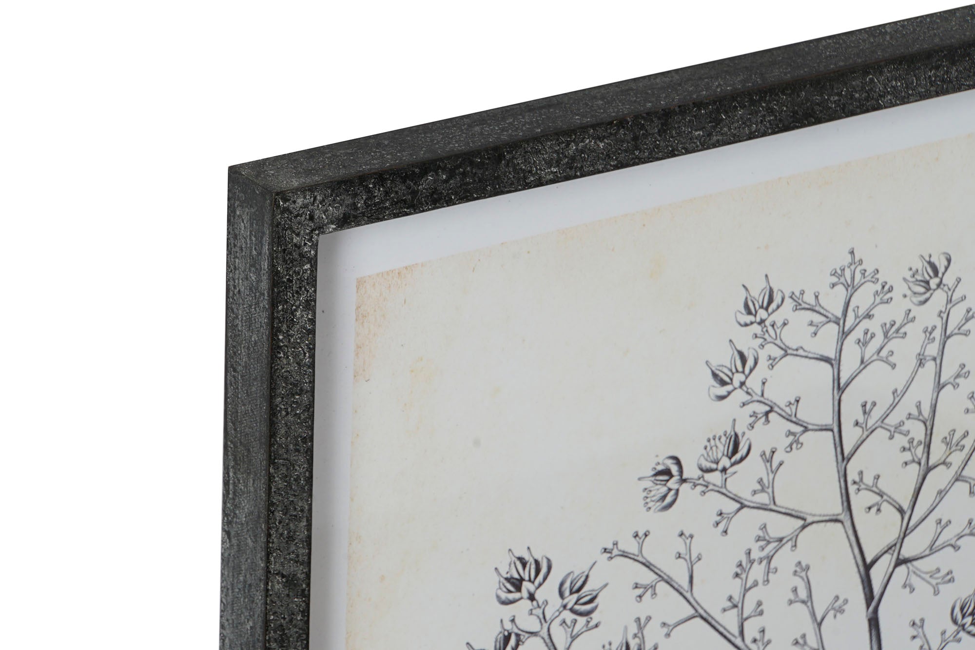 Moldura de vidro MDF 45X2,5X60 Botânico 4 sortidas.