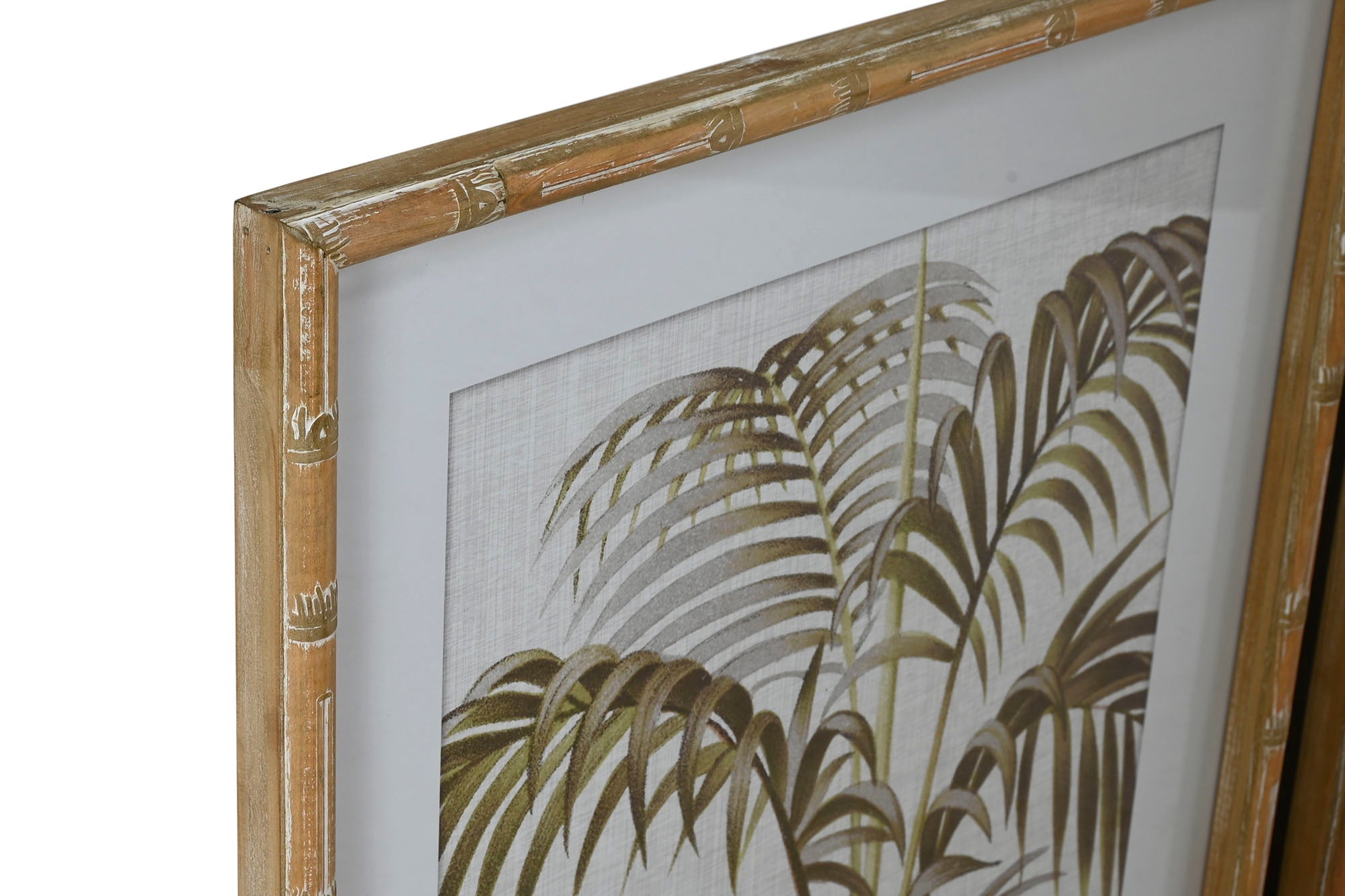 Quadro de vidro Abeto 55X3X70 Palmeira 4 sortidos.